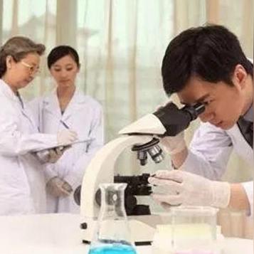 目前干什么致富快？热门行业与成功案例深度解析