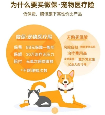 羊小咩便荔卡套出来责任，揭秘宠物保险背后的故事