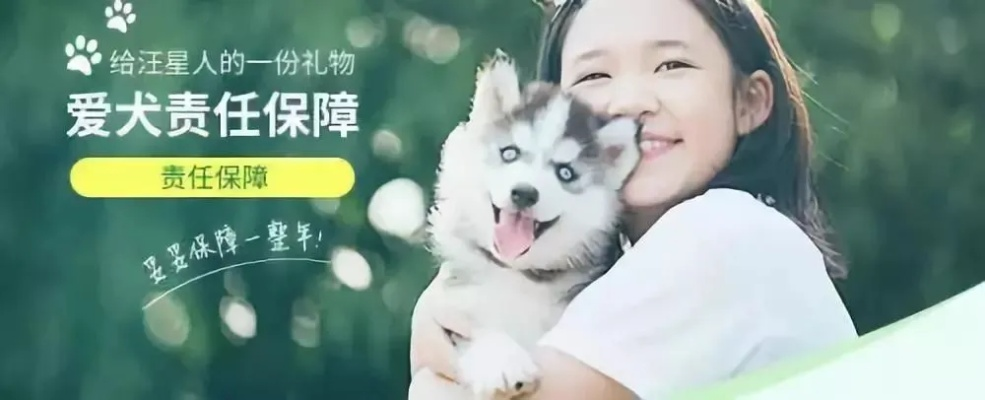 羊小咩便荔卡套出来责任，揭秘宠物保险背后的故事