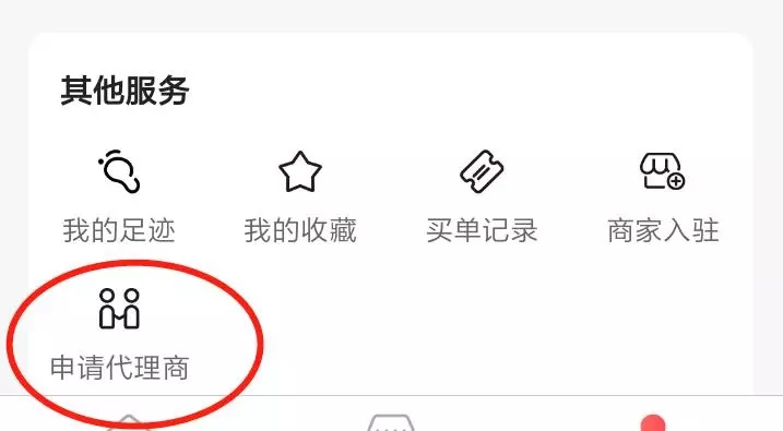 微店放心花能否成功套出服务？深度解析与实用建议