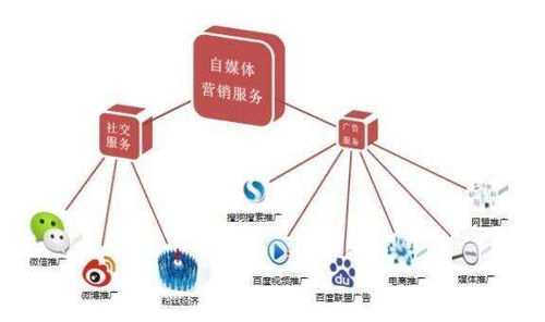 打造家电品牌自媒体矩阵图的秘诀
