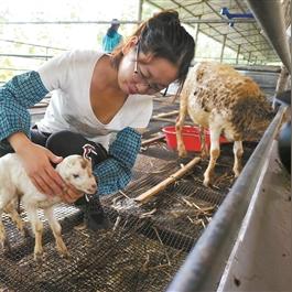 养什么能快速致富—深度解析与实例探究