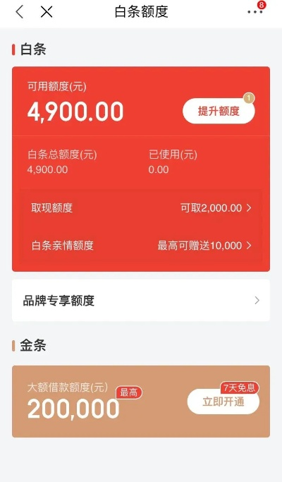 白条怎么套出来5万元—深度解析与实用指南