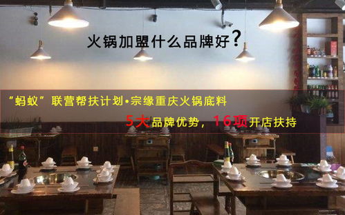 怎么选适合的加盟品牌？这些要点你得知道！
