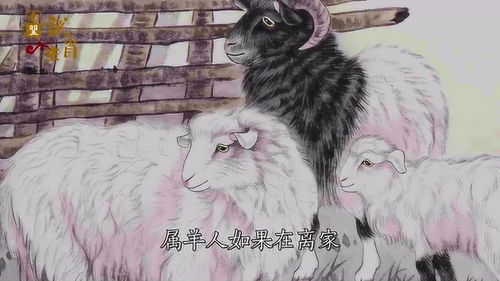 揭秘更美羊小咩享花卡，谁可以轻松套出来？
