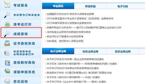 如何查看得物佳物分期的额度—一份详尽指南