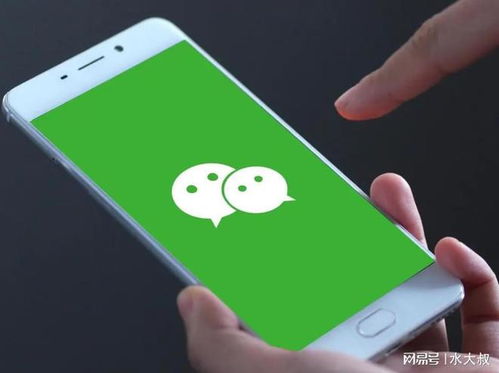 掌握隐私保护，如何查询他人聊天记录
