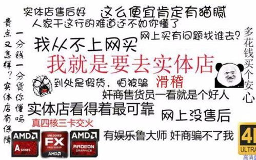 东莞哪里能搞到羊小咩便荔卡套？手把手教你避坑指南