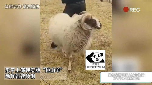 揭秘羊小咩便荔卡套，真的存在吗？揭秘其背后的真相！
