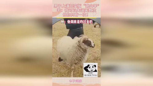 揭秘羊小咩便荔卡套，真的存在吗？揭秘其背后的真相！