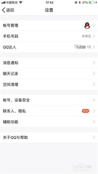 揭秘QQ聊天记录查看技巧，合法途径与注意事项