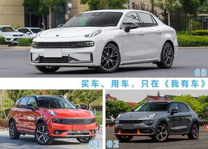 国产小汽车品牌崛起之路