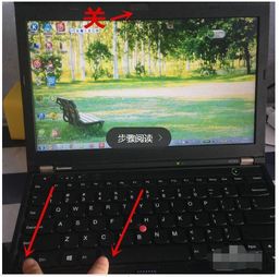 电脑视像头品牌概览