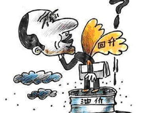 揭秘小驴抖音月付套现全攻略，风险与技巧并存