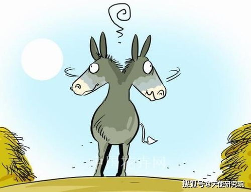 揭秘小驴抖音月付套现全攻略，风险与技巧并存