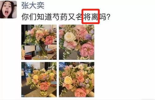 微店放心花，自己能否成功套出？