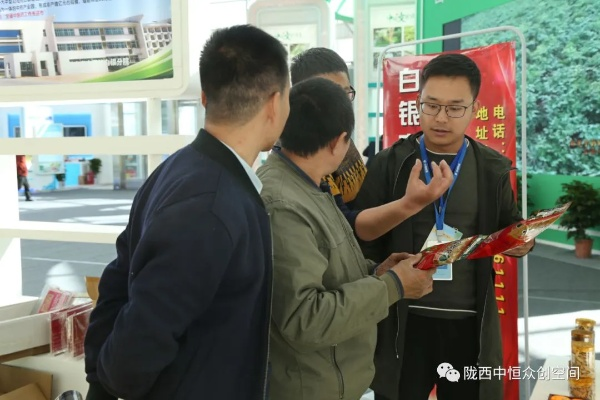 陇西中医药品牌—传统瑰宝的现代演绎