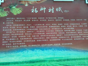 老杨的生意之路，探寻赚钱之道，共创财富传奇
