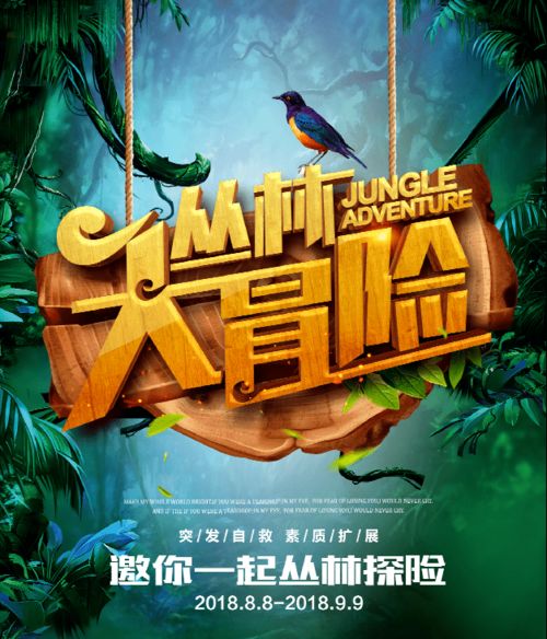 老杨的生意之路，探寻赚钱之道，共创财富传奇