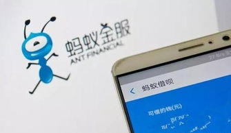 羊小咩便荔卡套出来易卡夫，揭秘新型支付方式背后的故事