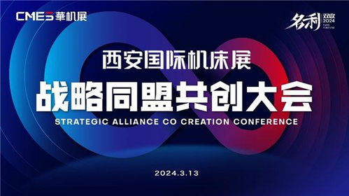 夫妻合伙，共创未来，热门赚钱产业的探索与成功案例分享