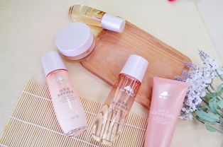 全球化妆品牌大揭秘，从经典到新兴，探索国际美妆潮流