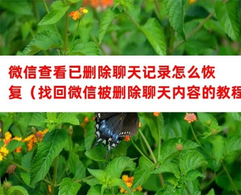 轻松找回微信聊天记录，教你几招查看已删除的聊天内容