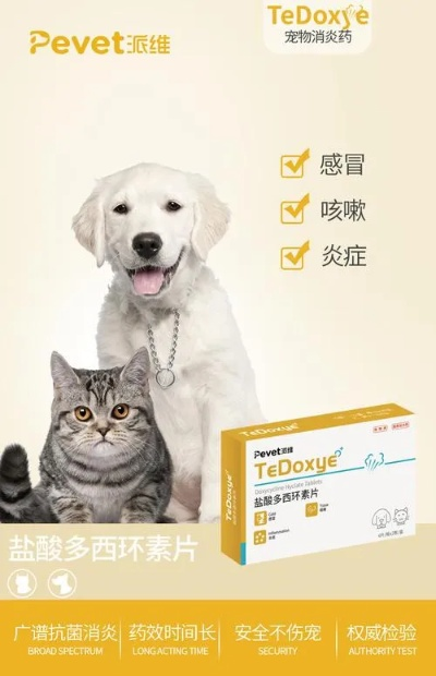 宠物医药品牌名称的全面解析