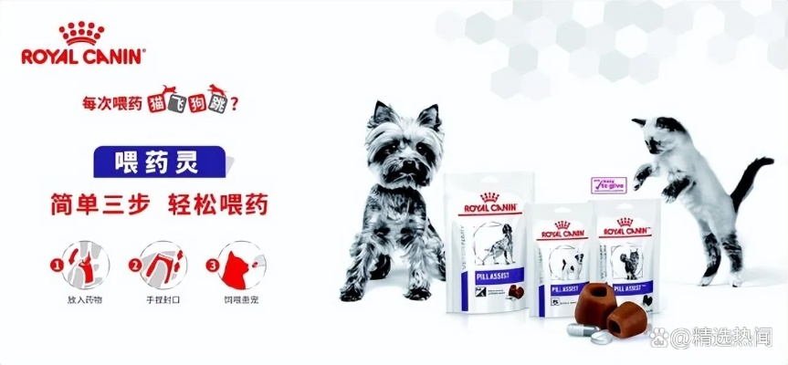 宠物医药品牌名称的全面解析