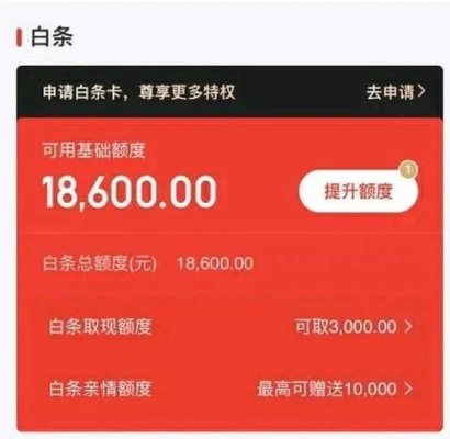 轻松操作，秒懂给朋友白条提现全攻略