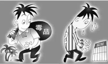 制毒致富政策是什么？探究背后的真相与案例