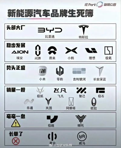 国内新能源汽车品牌崛起之路
