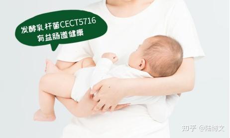 母婴净水品牌，守护宝宝健康成长的绿色防线