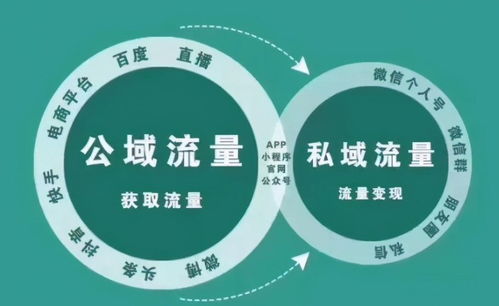 产品开发做什么事业赚钱？看这些成功案例和趋势分析