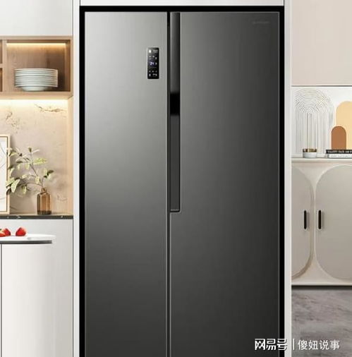 家电冰箱品牌排行榜
