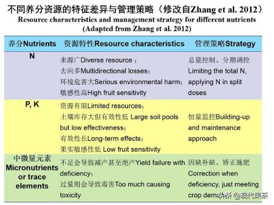 增收致富英文缩写解析及案例详述