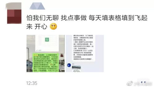 微店放心花套，安全性分析与使用指南