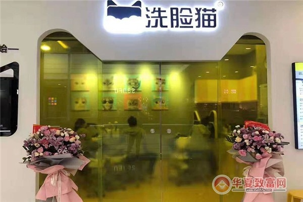 大脸猫洗脸店加盟攻略，从零开始，轻松开启你的美容事业