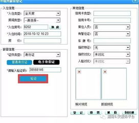 教你查宾馆入住记录—实用指南与案例解析