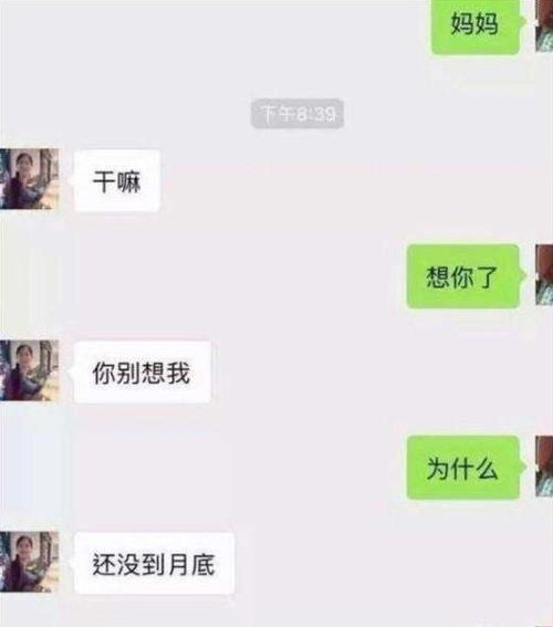 如何查看已删除好友的聊天记录？小教程带你看懂其中奥秘