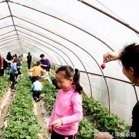 去旅游做什么工作赚钱多？看我一一揭秘
