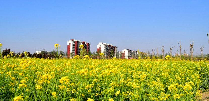 青县靠什么发家致富，深度解析与实例探究