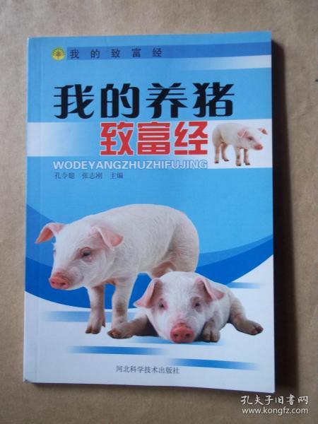 养猪发家致富，策略、案例与实用建议