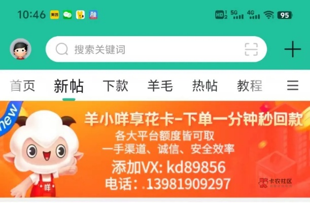揭秘羊小咩便荔卡套价格之谜，究竟要花多少钱？