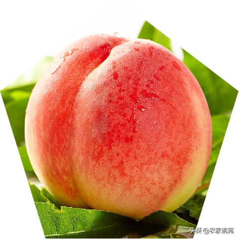 桃多多额度提现全攻略