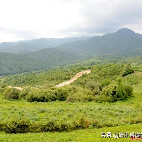 农民致富靠什么最好？多元化路径与成功案例解析
