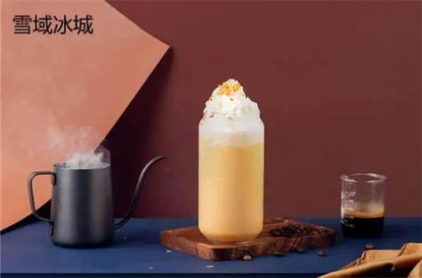 雪域冰城加盟怎么样？深度解析加盟利弊，助你成功创业！
