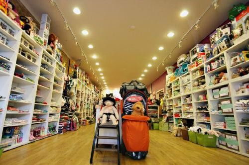 如何加盟抓娃娃机店？从零起步到成功开店全攻略