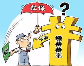 抖音月付提现葫芦娃流程详解，轻松操作，让你钱袋子鼓起来！