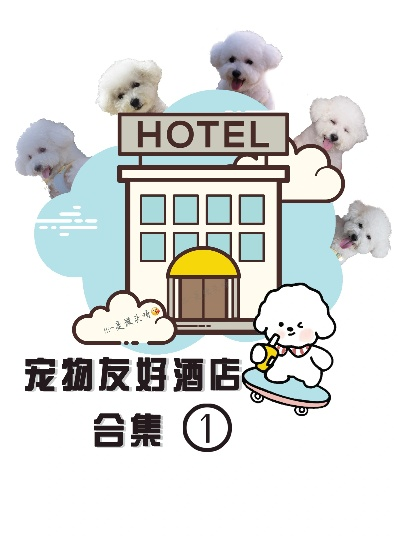 怎么查带狗狗住酒店记录—宠物友好酒店的入住指南